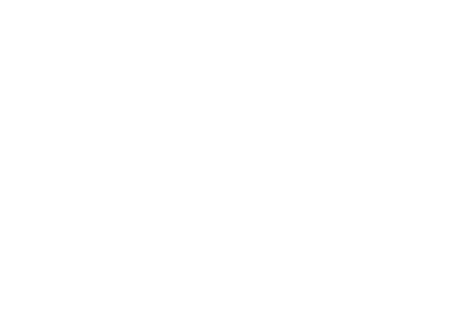 Phi NanoInk Logo