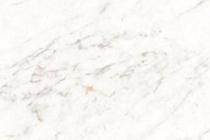 Phi Prestige AU71091 closeup