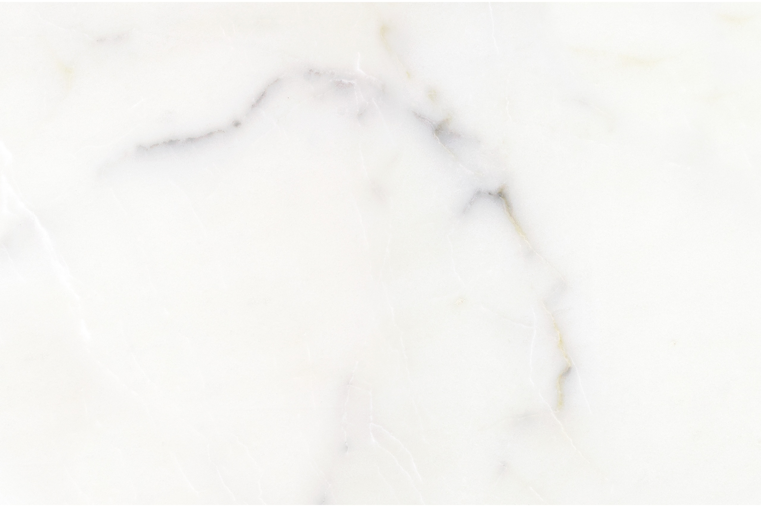 Phi Maui AU71232 closeup