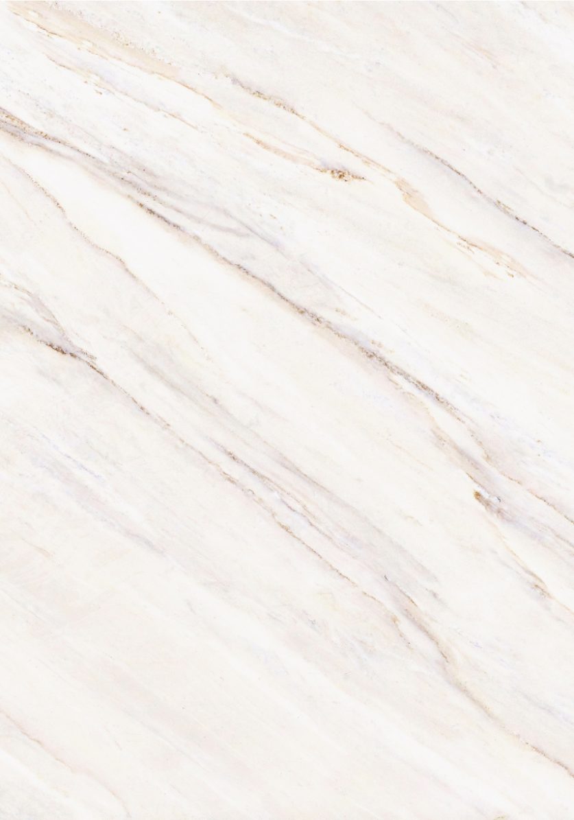 Capivara slab Phi by Aurea Stone